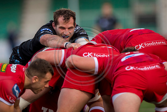 Glasgow Warriors v Scarlets