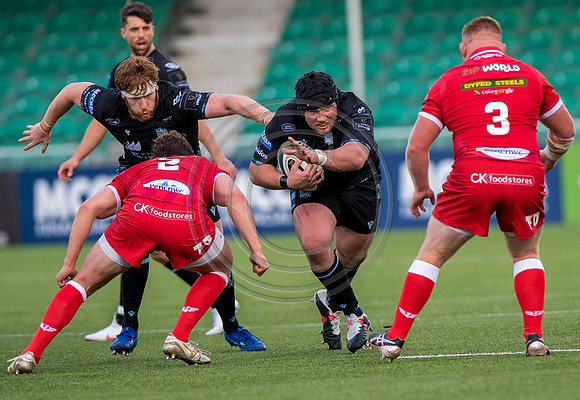 Glasgow Warriors v Scarlets