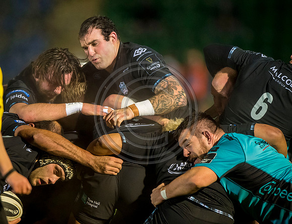 Glasgow Warriors v Dragons