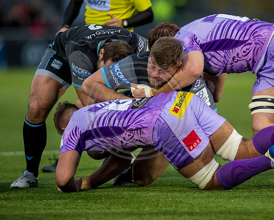 rugby, euro rugby, european rugby championship, heiniken cup, glaasgow, heineken champions cup, glasgow warriors, warriors, warriors v exeter, warriors v chiefs, glasgow warriors v exeter chiefs