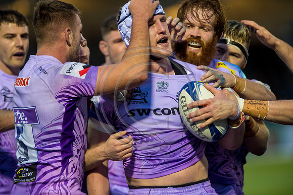 rugby, euro rugby, european rugby championship, heiniken cup, glaasgow, heineken champions cup, glasgow warriors, warriors, warriors v exeter, warriors v chiefs, glasgow warriors v exeter chiefs