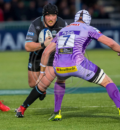 rugby, euro rugby, european rugby championship, heiniken cup, glaasgow, heineken champions cup, glasgow warriors, warriors, warriors v exeter, warriors v chiefs, glasgow warriors v exeter chiefs