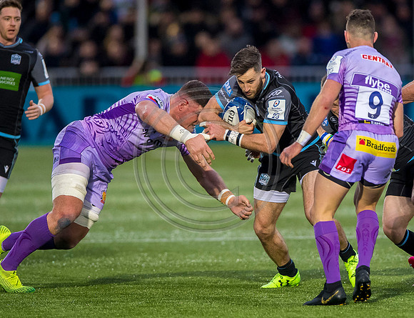rugby, euro rugby, european rugby championship, heiniken cup, glaasgow, heineken champions cup, glasgow warriors, warriors, warriors v exeter, warriors v chiefs, glasgow warriors v exeter chiefs