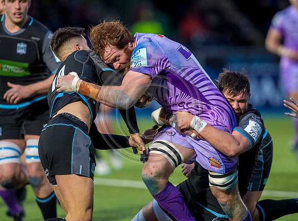 rugby, euro rugby, european rugby championship, heiniken cup, glaasgow, heineken champions cup, glasgow warriors, warriors, warriors v exeter, warriors v chiefs, glasgow warriors v exeter chiefs