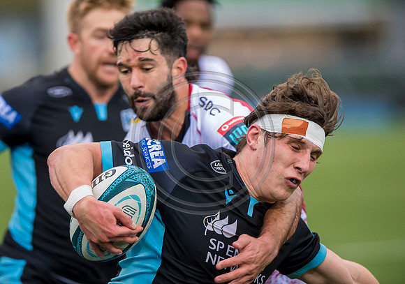 Warriors v Lions