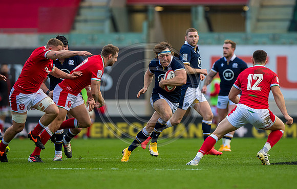 Wales v Scotland