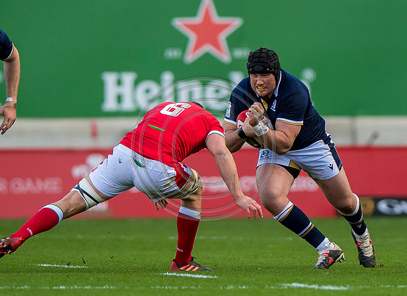 Wales v Scotland