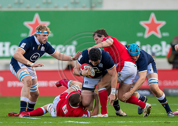 Wales v Scotland