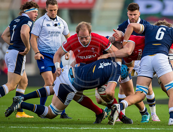 Wales v Scotland