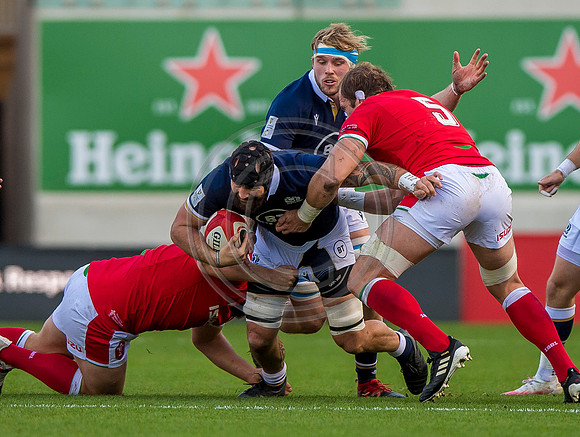 Wales v Scotland