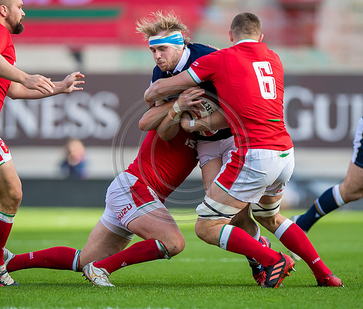 Wales v Scotland