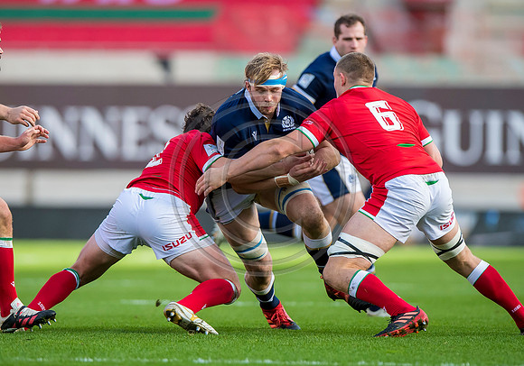 Wales v Scotland