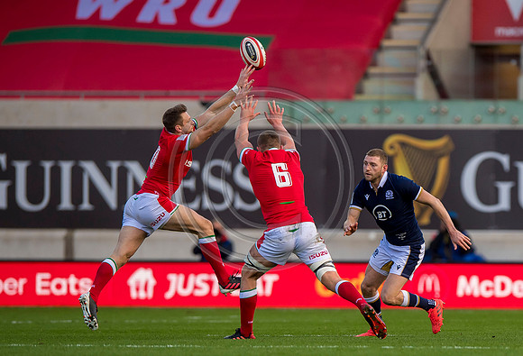 Wales v Scotland