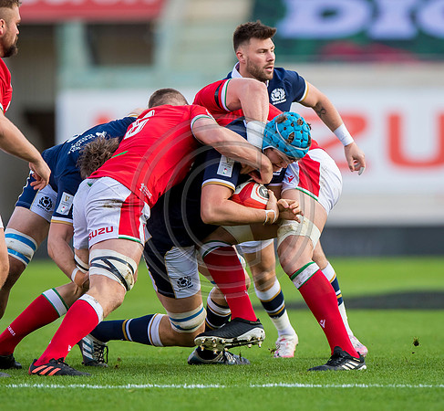 Wales v Scotland