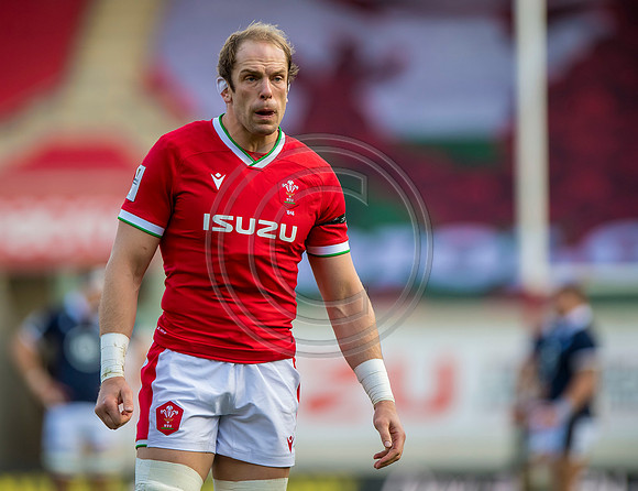 Wales v Scotland