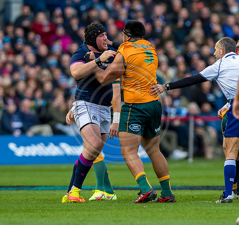 Scotland v Australia