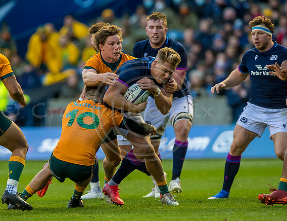 Scotland v Australia
