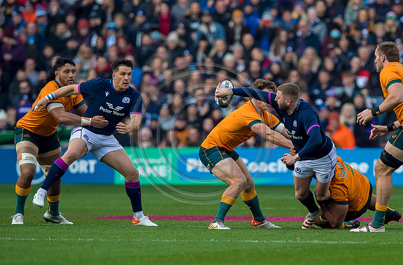 Scotland v Australia