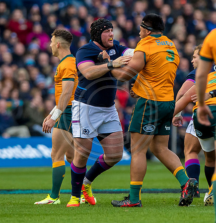 Scotland v Australia