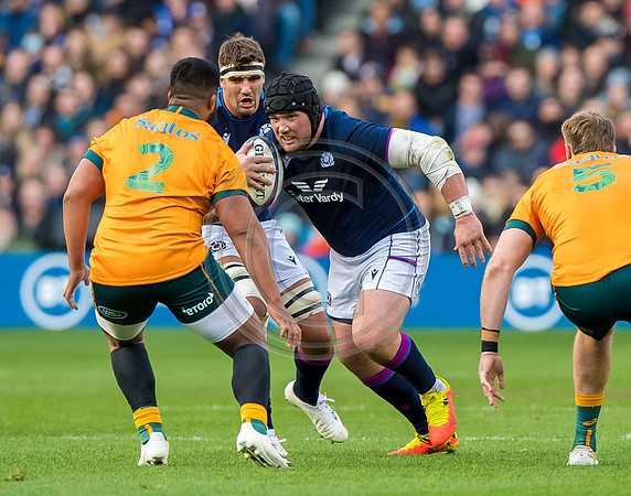 Scotland v Australia