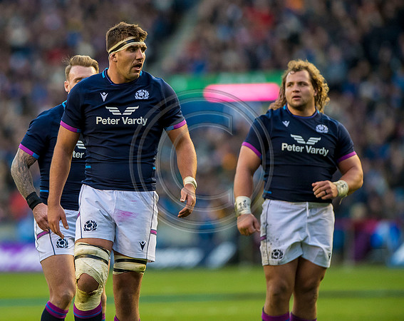 Scotland v Australia