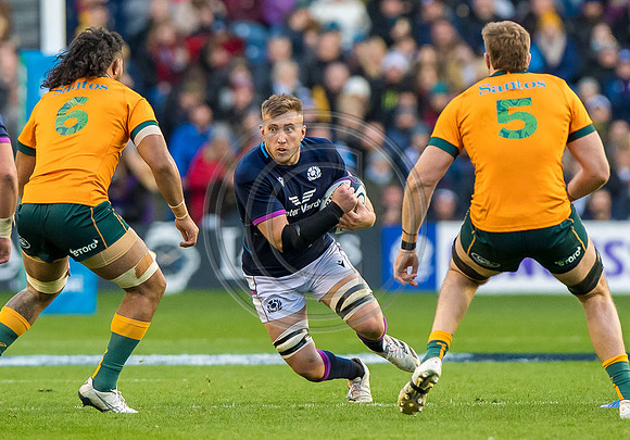 Scotland v Australia
