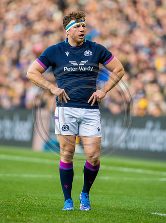 Scotland v Australia