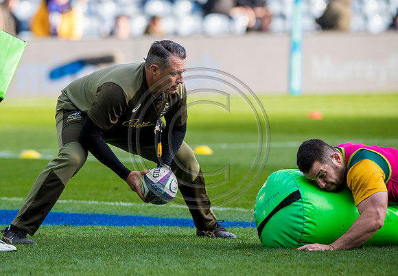 Scotland v Australia