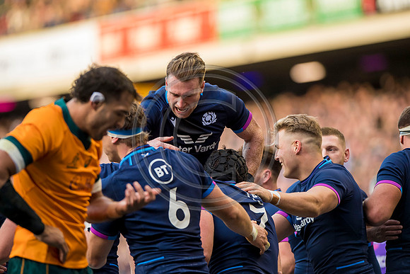 Scotland v Australia