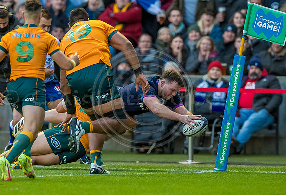 Scotland v Australia