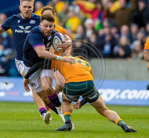 Scotland v Australia