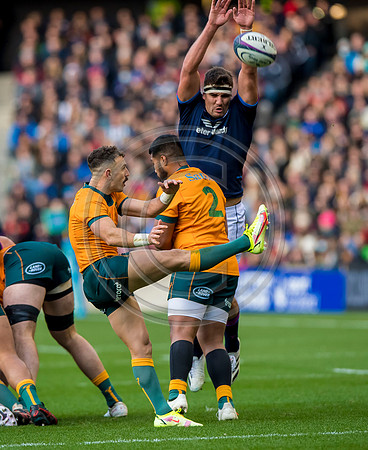 Scotland v Australia