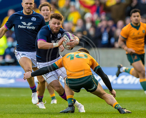 Scotland v Australia