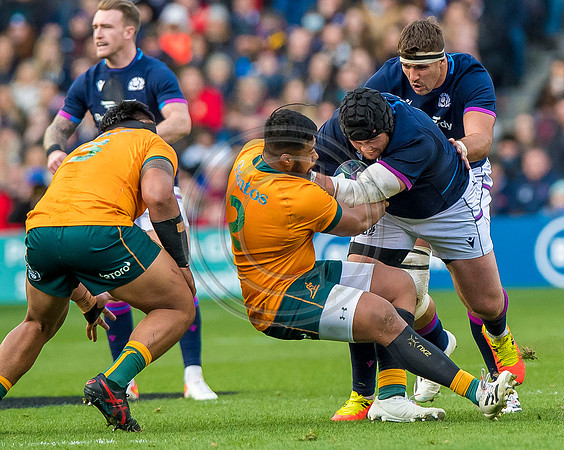 Scotland v Australia