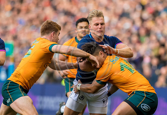 Scotland v Australia