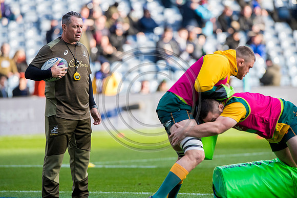 Scotland v Australia