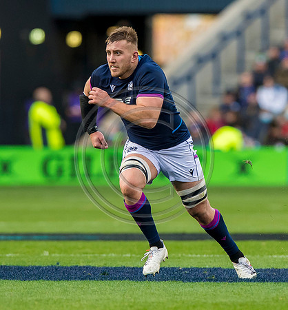 Scotland v Australia