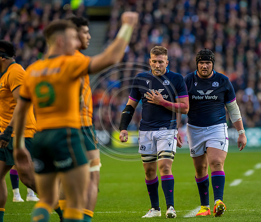 Scotland v Australia