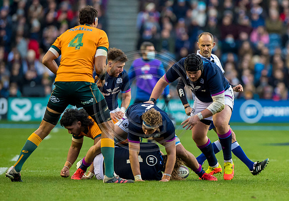 Scotland v Australia