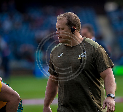 Scotland v Australia