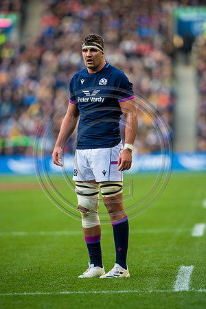 Scotland v Australia