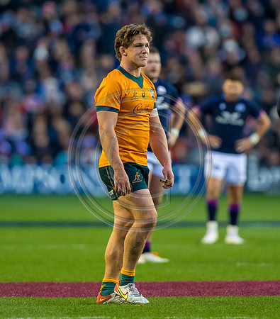Scotland v Australia