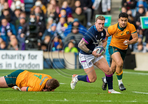 Scotland v Australia