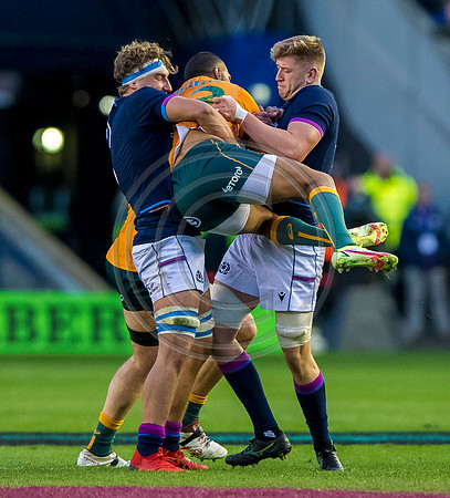 Scotland v Australia