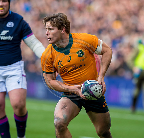 Scotland v Australia