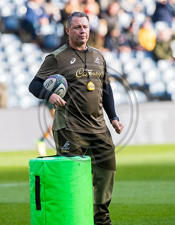 Scotland v Australia