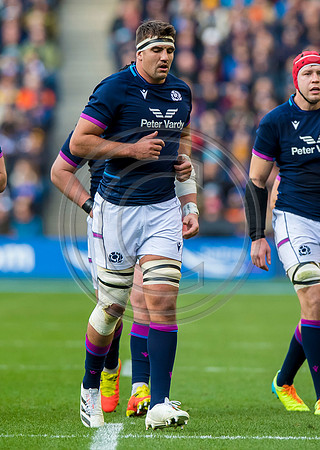 Scotland v Australia