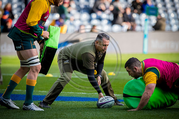 Scotland v Australia