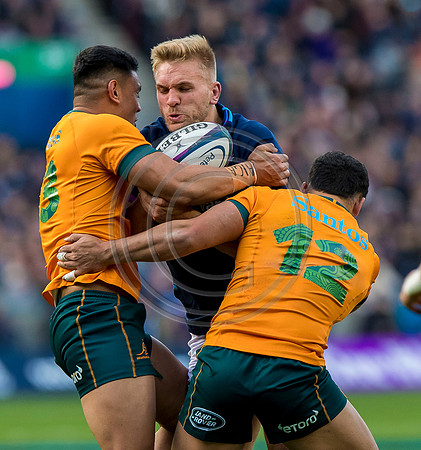 Scotland v Australia