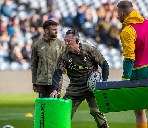 Scotland v Australia